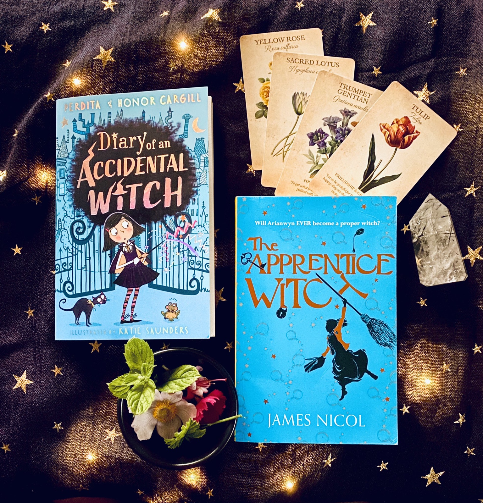 Diary of an accidental witch by Honor and perdita cargill